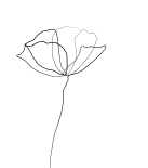 Diseno-sin-titulo-4.png